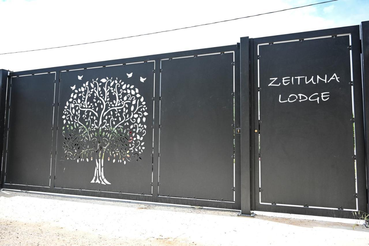 Zeituna Lodge A Porto Cesareo 토레 라필로 외부 사진