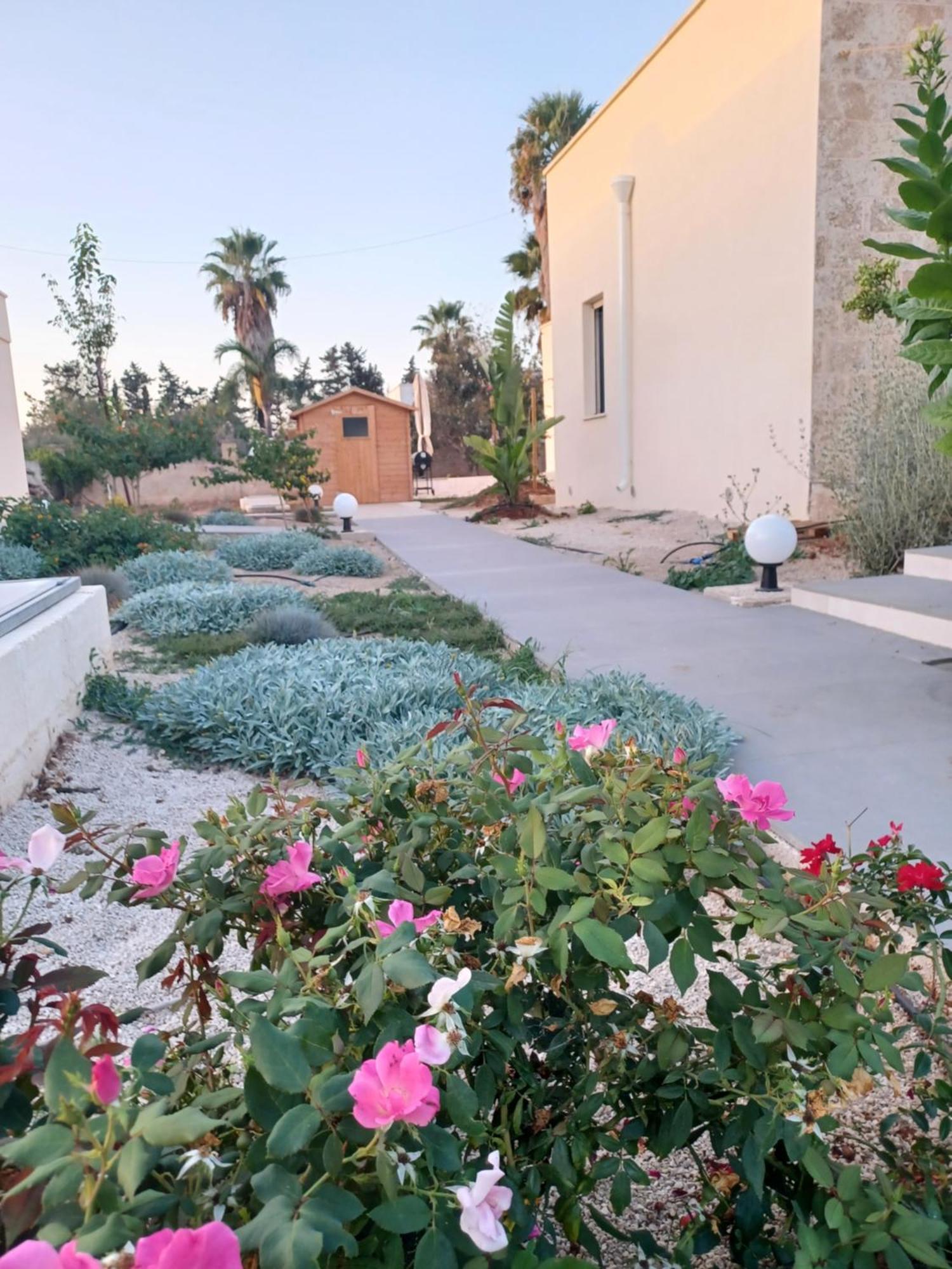 Zeituna Lodge A Porto Cesareo 토레 라필로 외부 사진