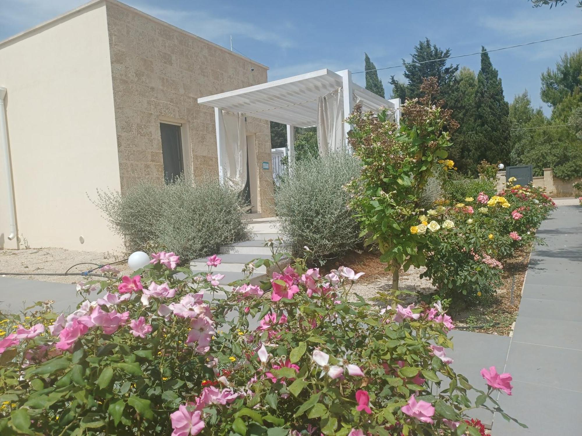 Zeituna Lodge A Porto Cesareo 토레 라필로 외부 사진