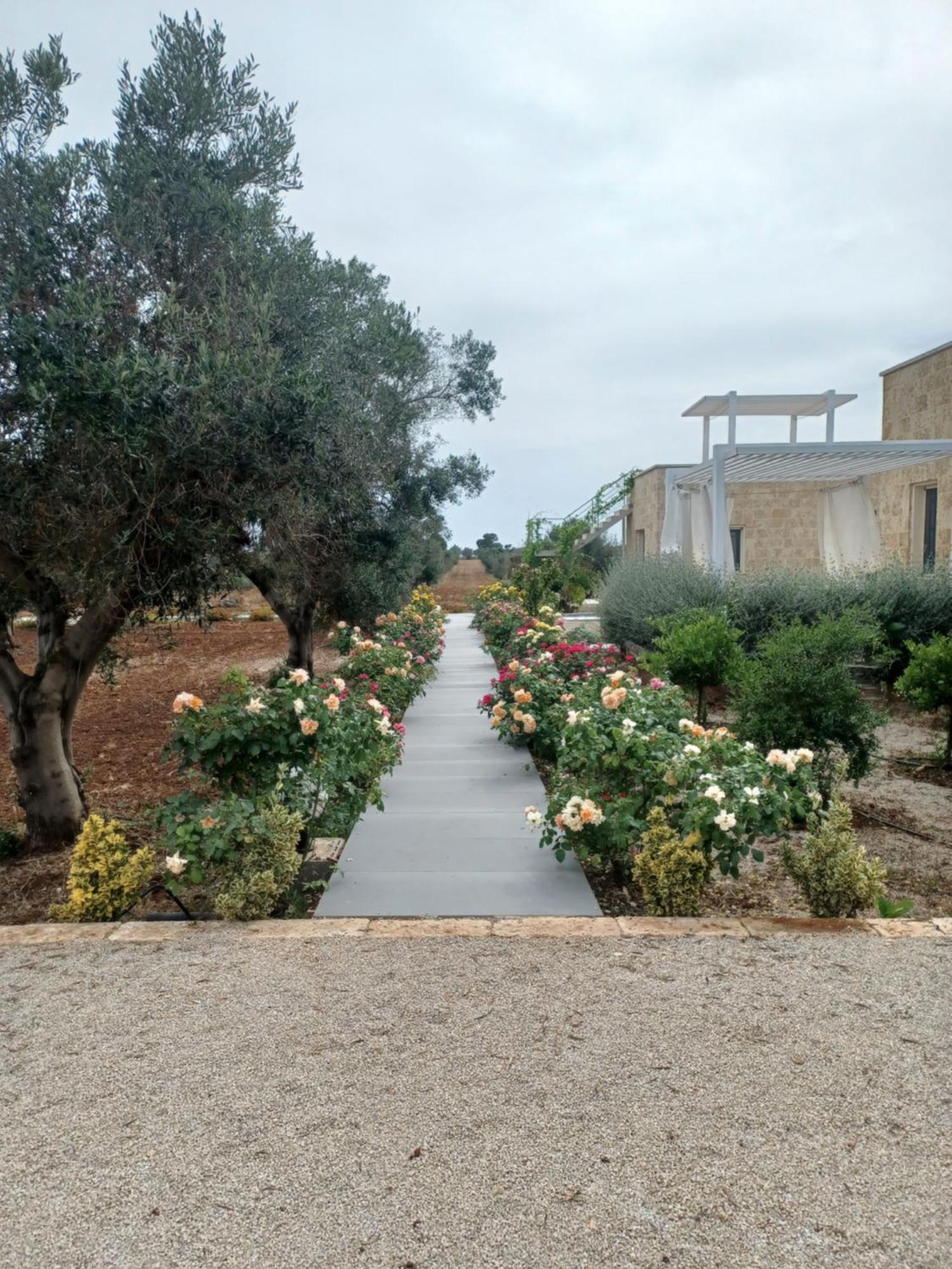 Zeituna Lodge A Porto Cesareo 토레 라필로 외부 사진